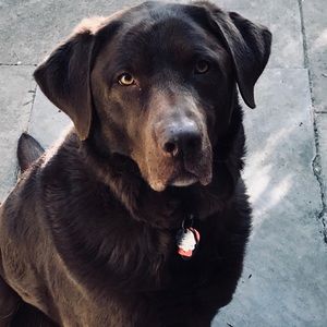 Meet your Posher, Emma